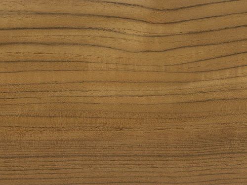 grain of teak wood