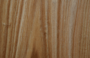 acacia wood grain